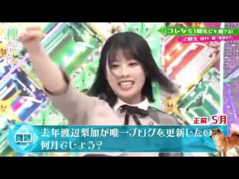 「欅坂46」渡辺梨加に関するクイズで無双する渡辺梨加