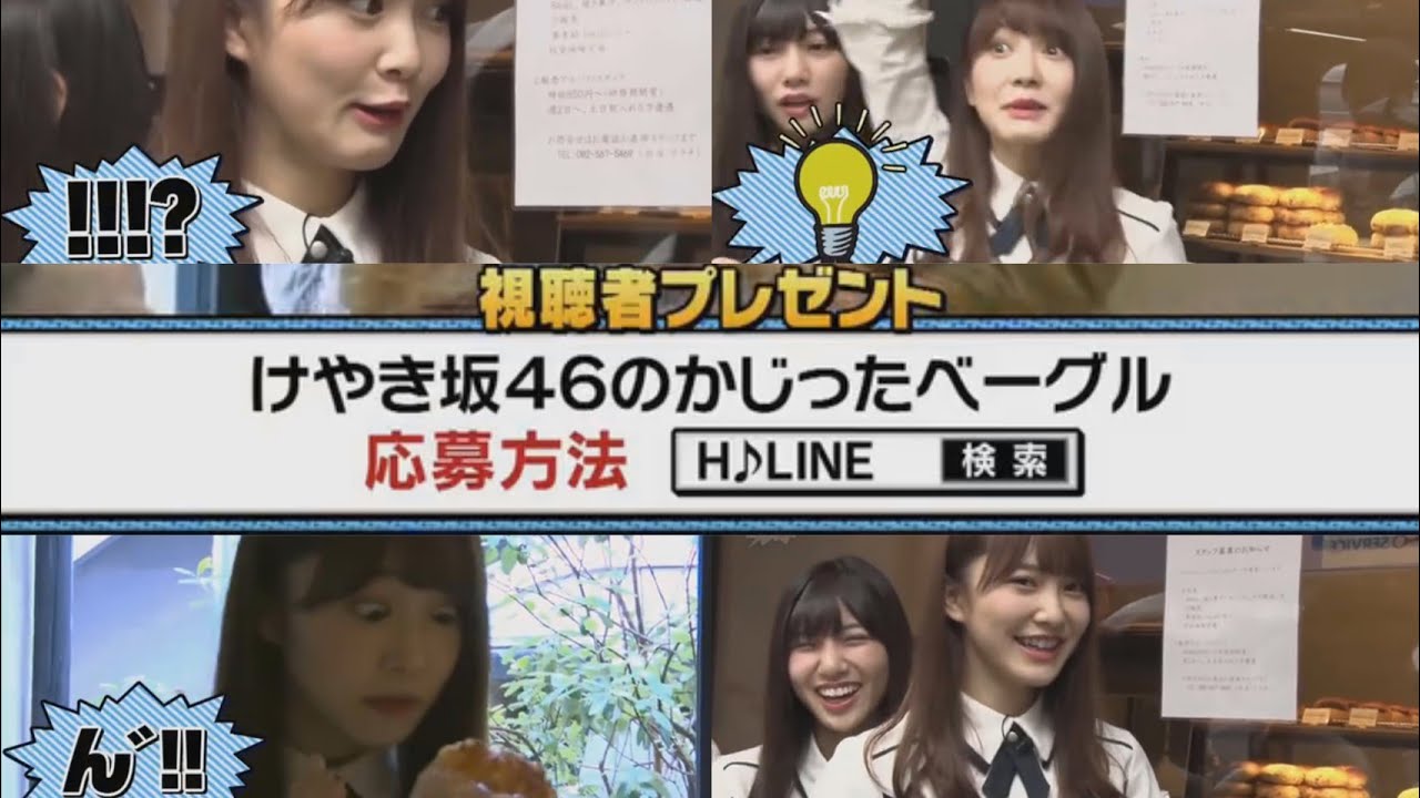 犬種 Vlog46 乃木坂46 櫻坂46 日向坂46