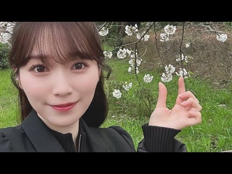 櫻坂46 さくらちゃんの桜撮 2024 春 ブログ Instagram TikTok